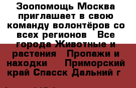 Зоопомощь.Москва приглашает в свою команду волонтёров со всех регионов - Все города Животные и растения » Пропажи и находки   . Приморский край,Спасск-Дальний г.